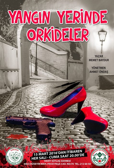 Yangın Yerinde Orkideler (2016)